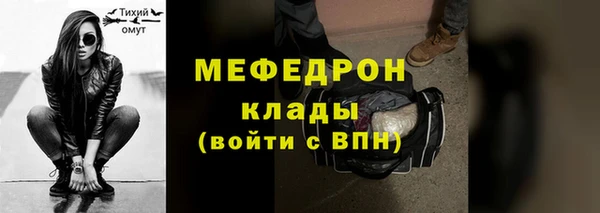 индика Сатка